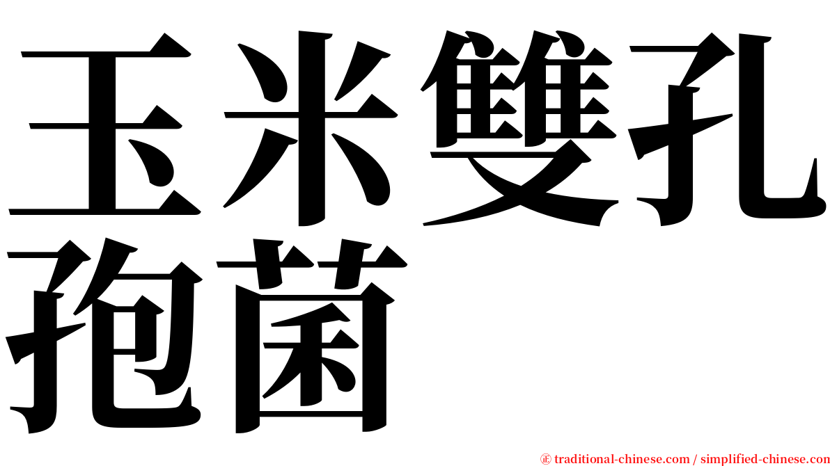 玉米雙孔孢菌 serif font