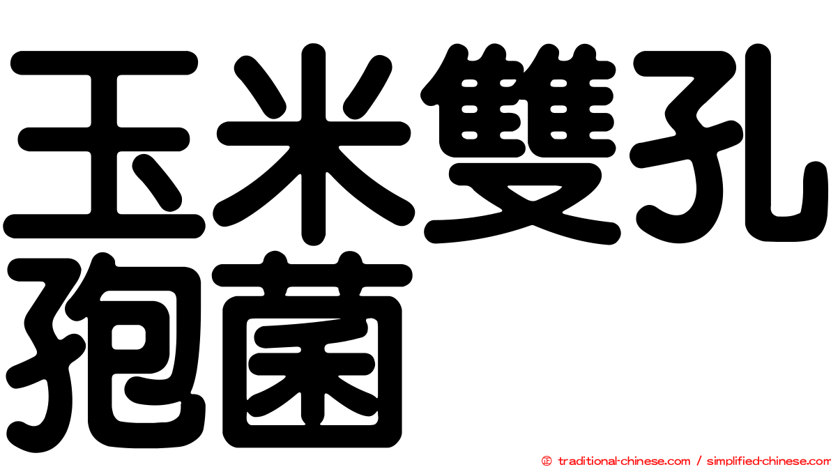 玉米雙孔孢菌