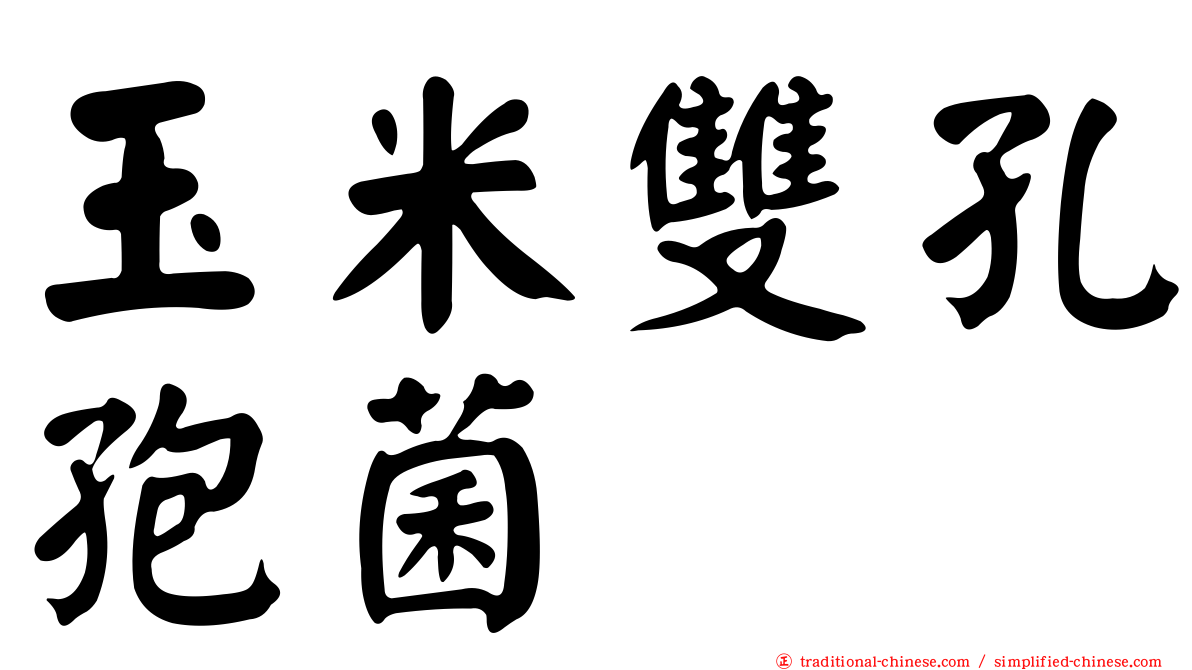 玉米雙孔孢菌