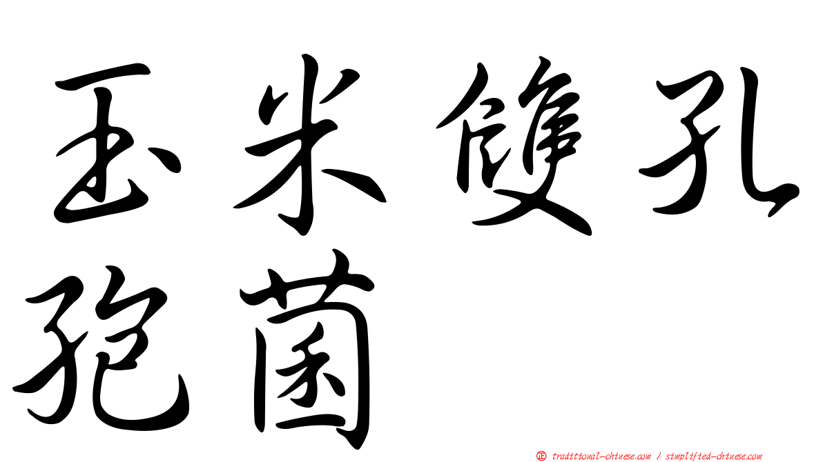 玉米雙孔孢菌