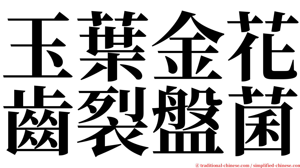 玉葉金花齒裂盤菌 serif font