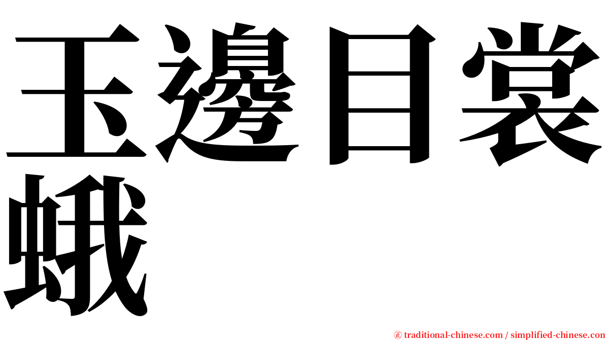 玉邊目裳蛾 serif font