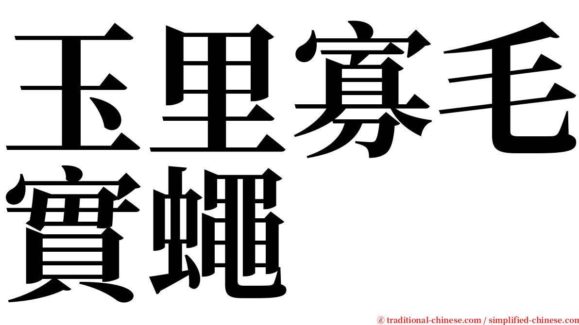 玉里寡毛實蠅 serif font