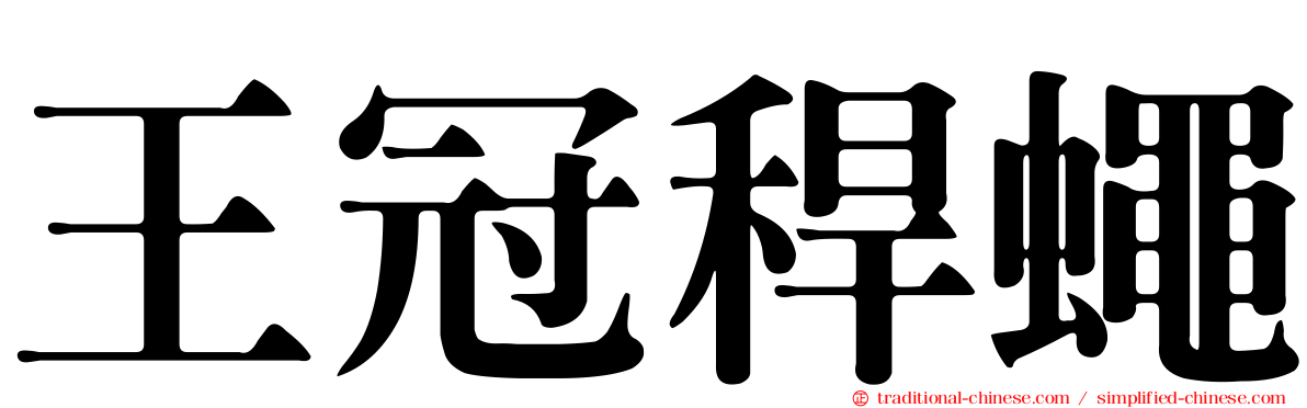 王冠稈蠅