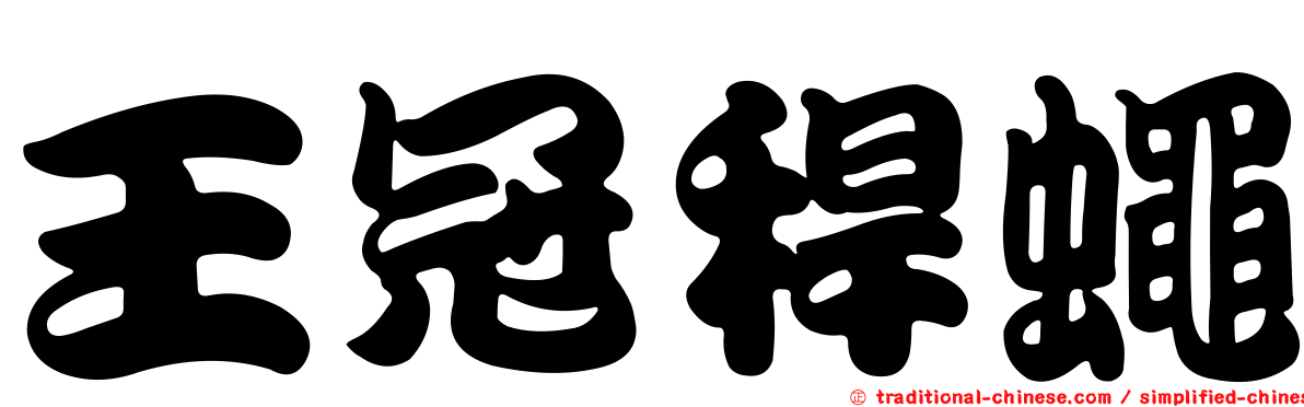 王冠稈蠅