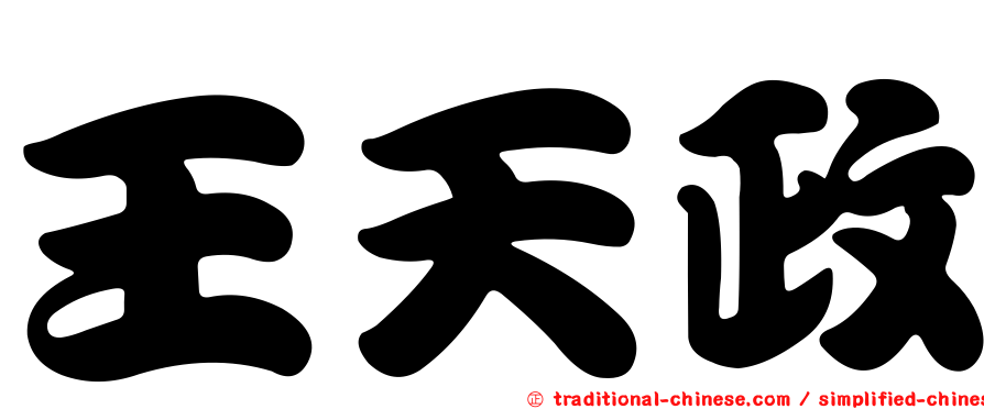 王天政