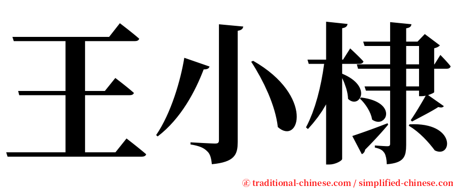 王小棣 serif font
