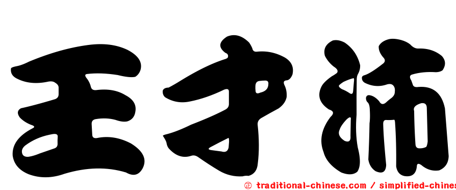 王才沛