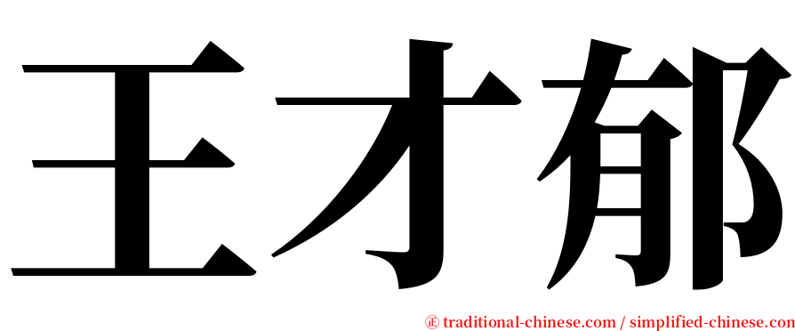 王才郁 serif font