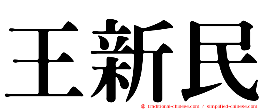 王新民
