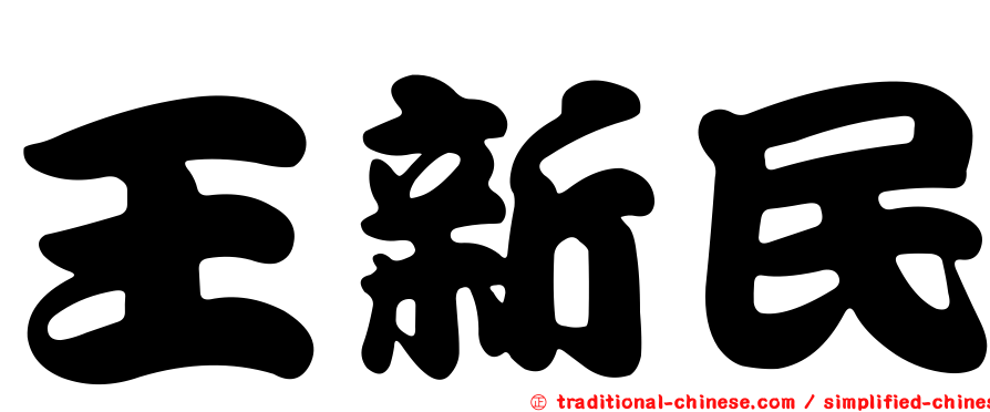王新民