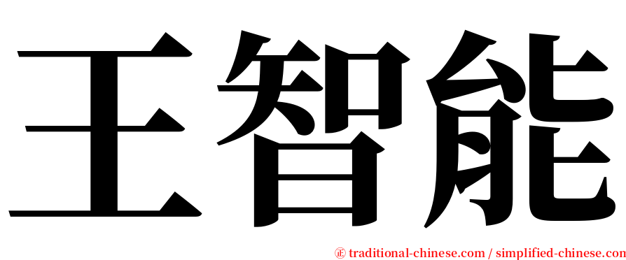 王智能 serif font
