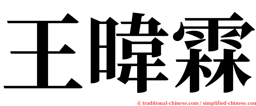 王暐霖 serif font