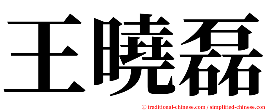 王曉磊 serif font