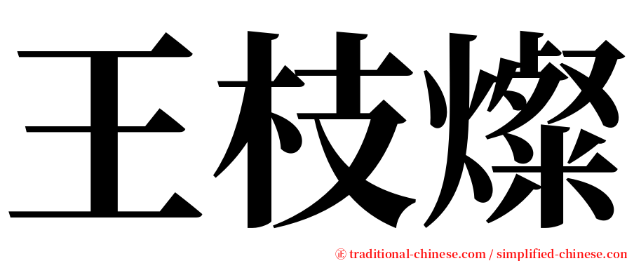 王枝燦 serif font