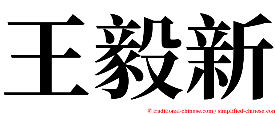 王毅新 serif font