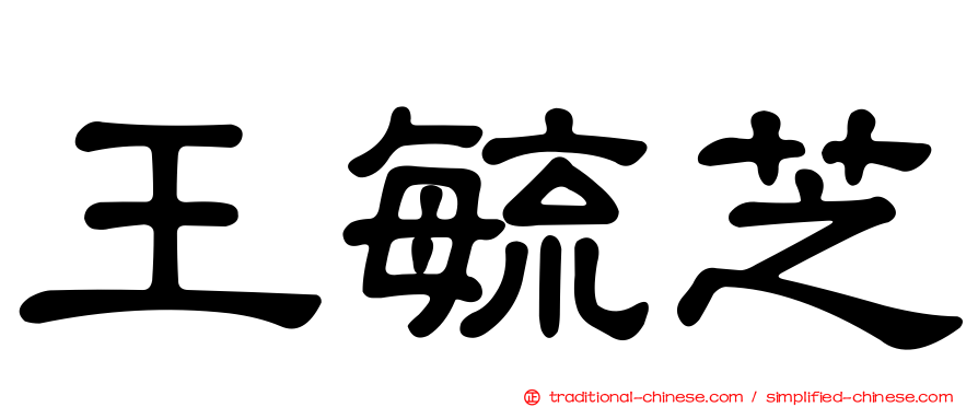 王毓芝