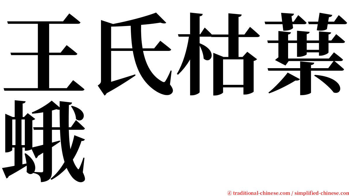 王氏枯葉蛾 serif font