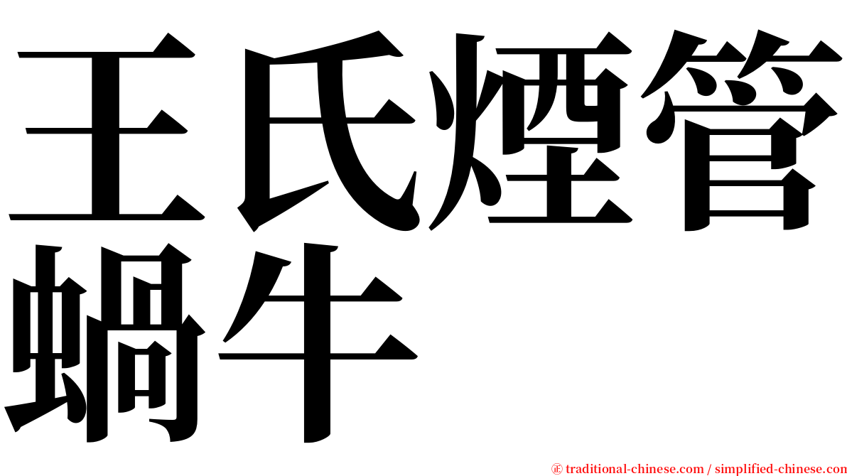 王氏煙管蝸牛 serif font