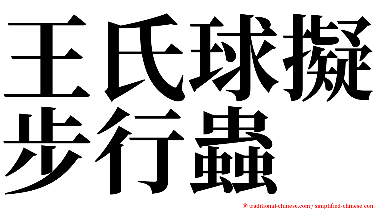 王氏球擬步行蟲 serif font