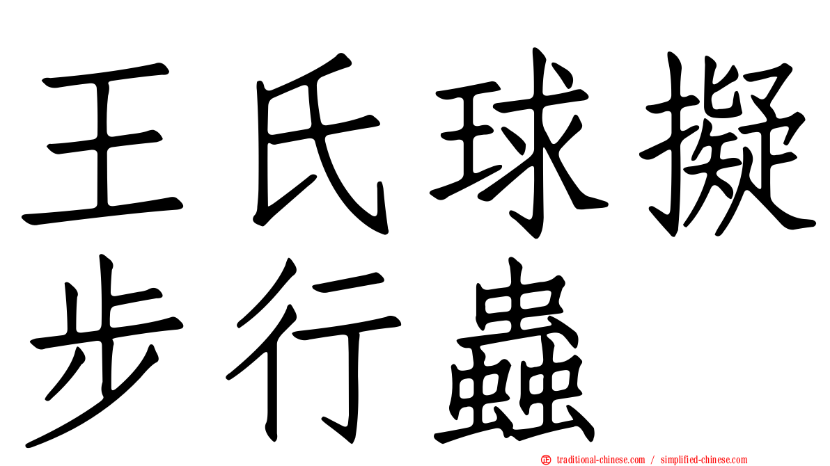 王氏球擬步行蟲