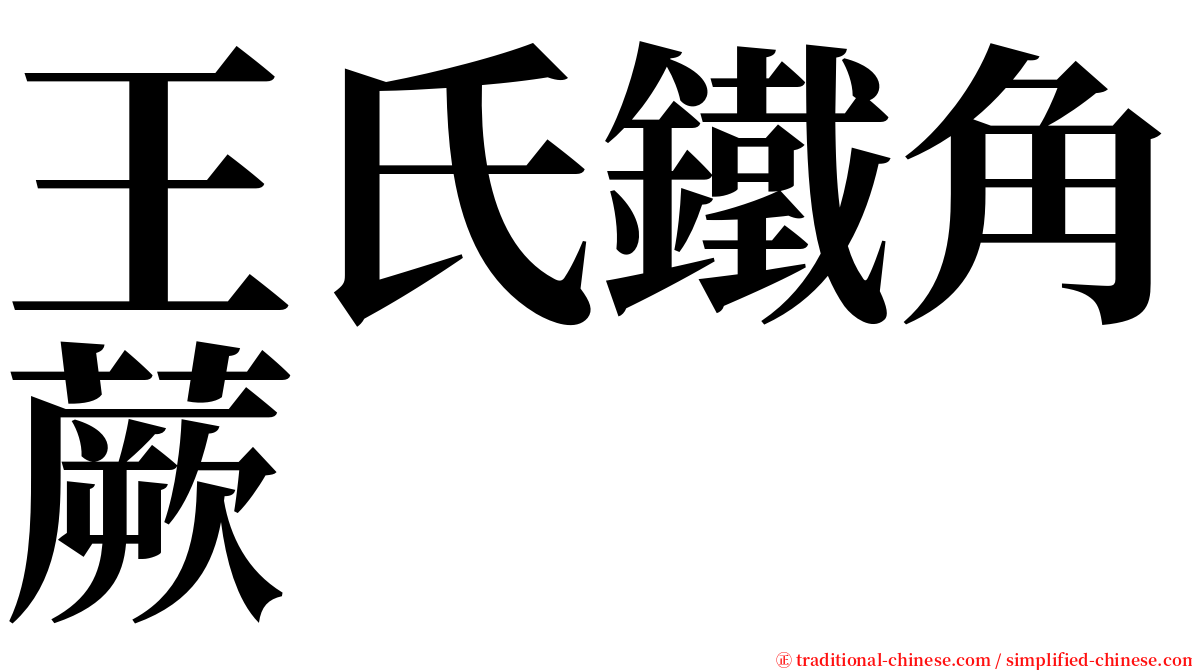 王氏鐵角蕨 serif font