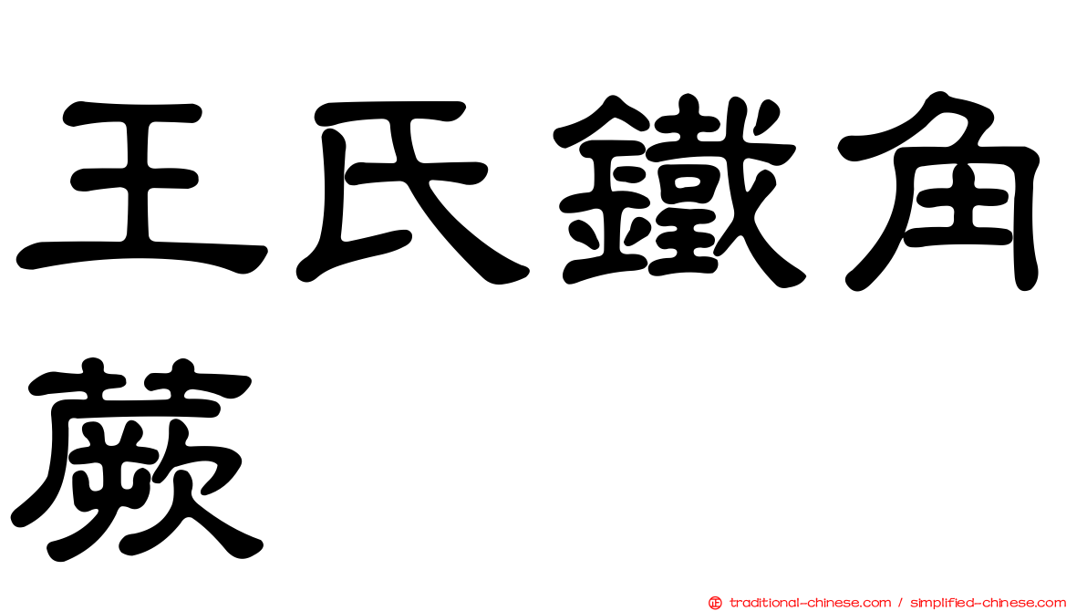 王氏鐵角蕨