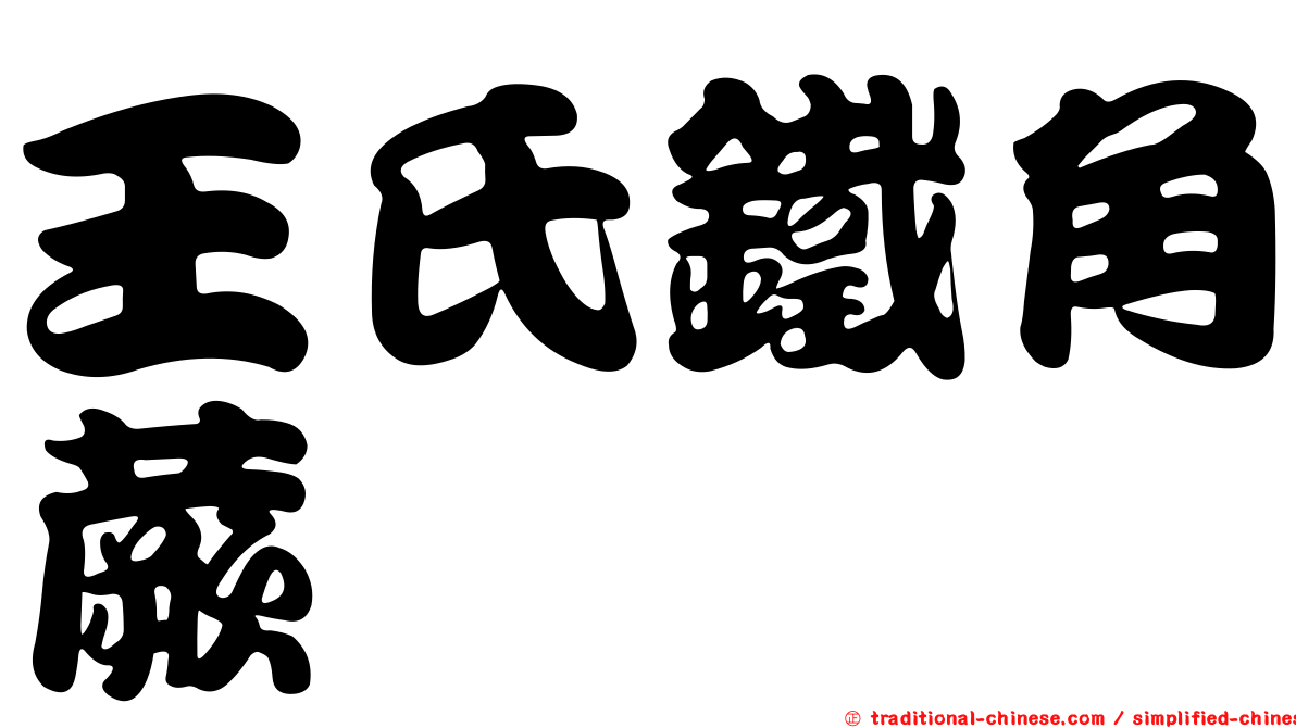 王氏鐵角蕨
