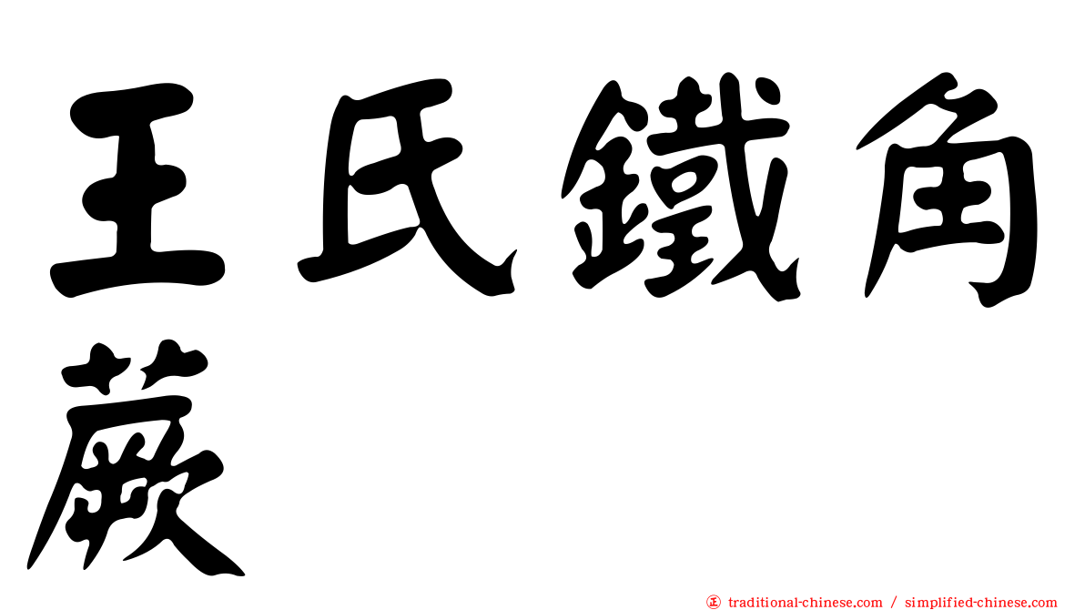王氏鐵角蕨