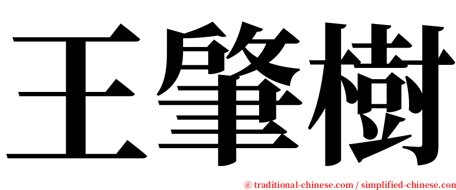 王肇樹 serif font