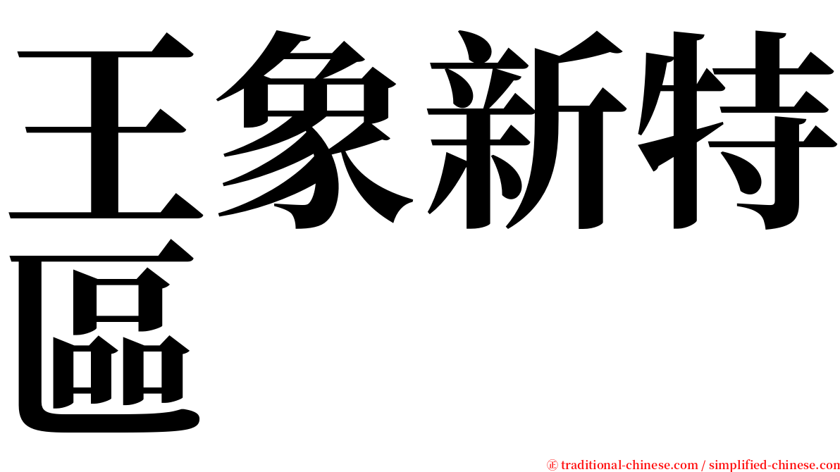 王象新特區 serif font