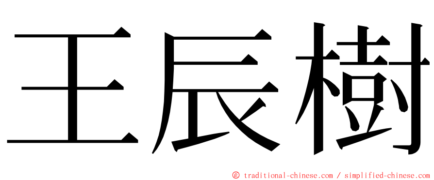 王辰樹 ming font