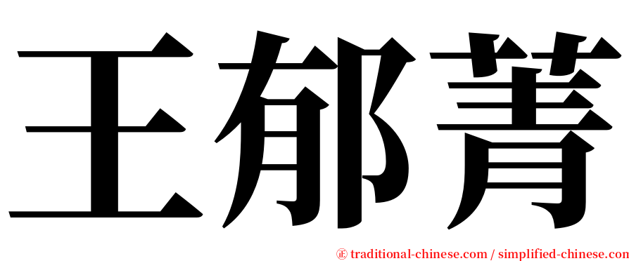 王郁菁 serif font