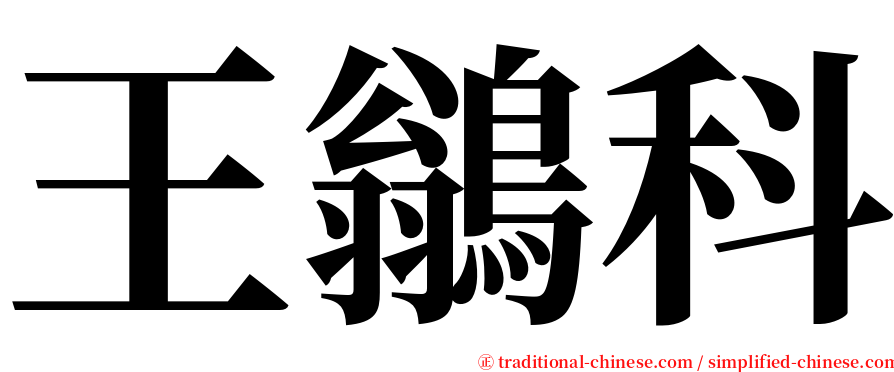王鶲科 serif font