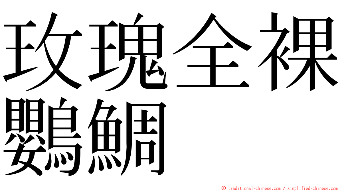 玫瑰全裸鸚鯛 ming font