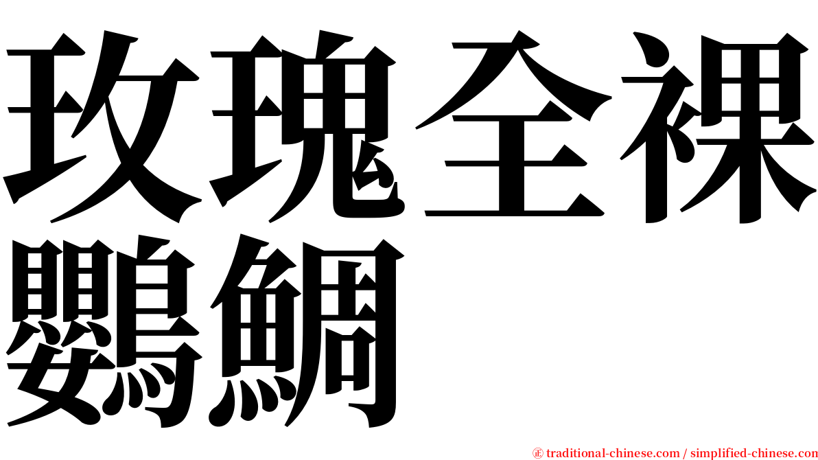 玫瑰全裸鸚鯛 serif font