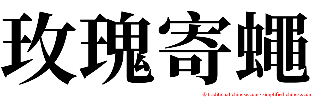 玫瑰寄蠅 serif font