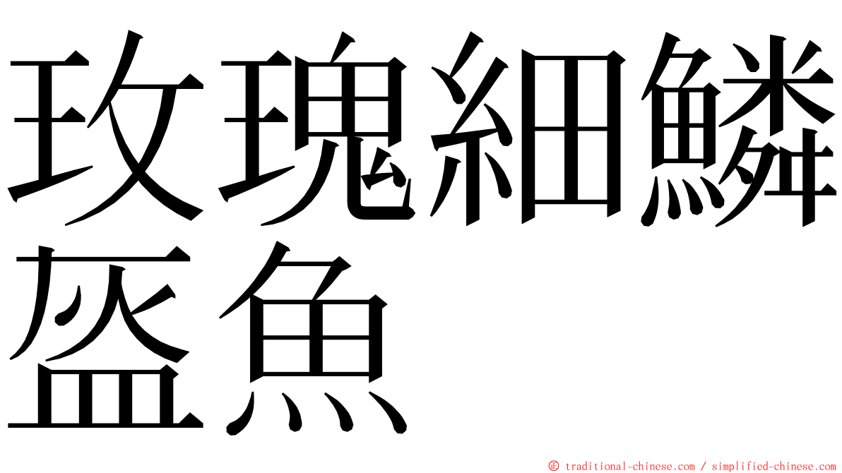 玫瑰細鱗盔魚 ming font