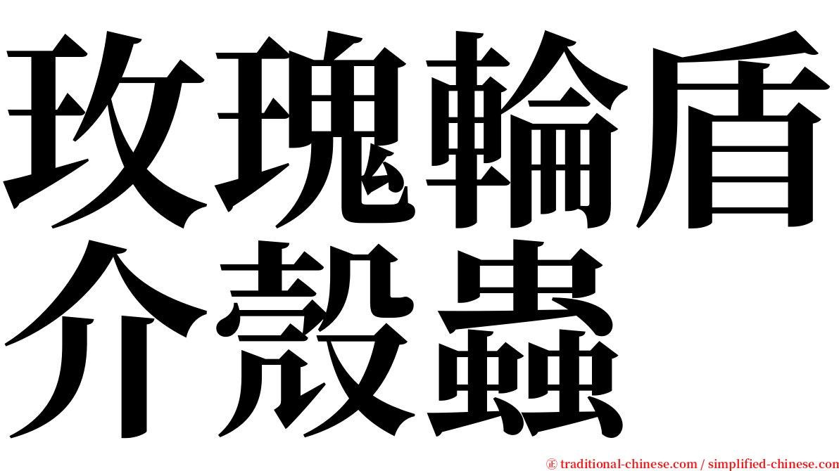 玫瑰輪盾介殼蟲 serif font