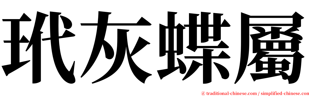 玳灰蝶屬 serif font