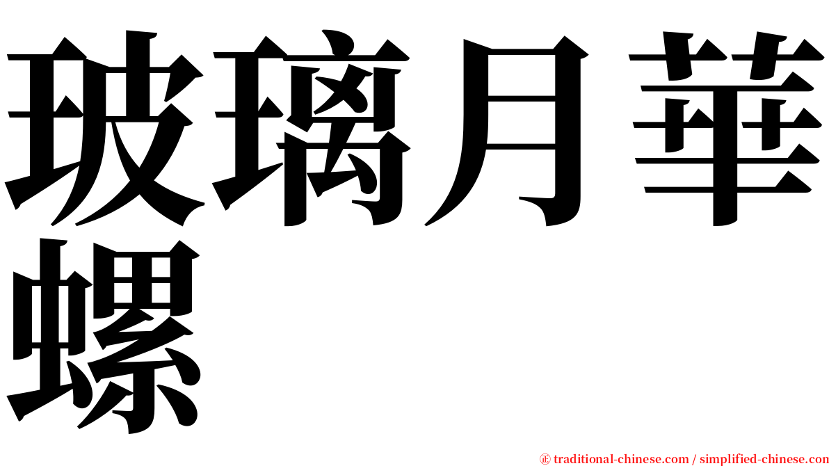 玻璃月華螺 serif font