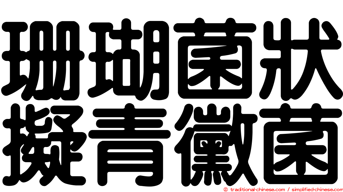 珊瑚菌狀擬青黴菌