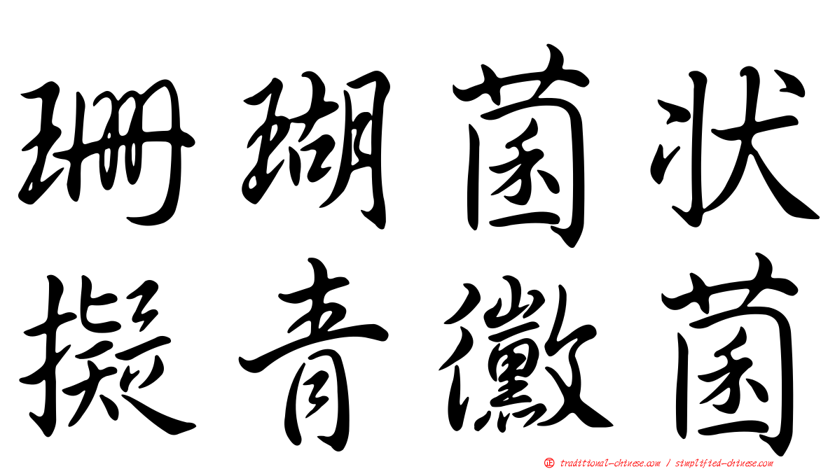 珊瑚菌狀擬青黴菌