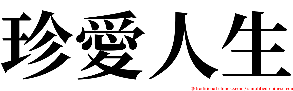 珍愛人生 serif font