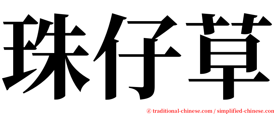 珠仔草 serif font