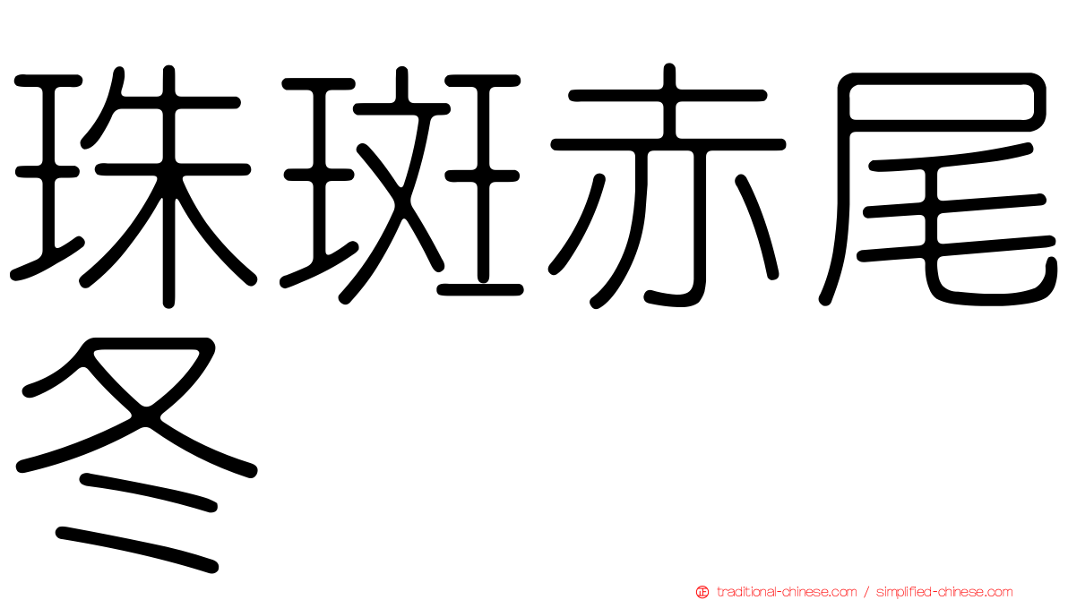 珠斑赤尾冬