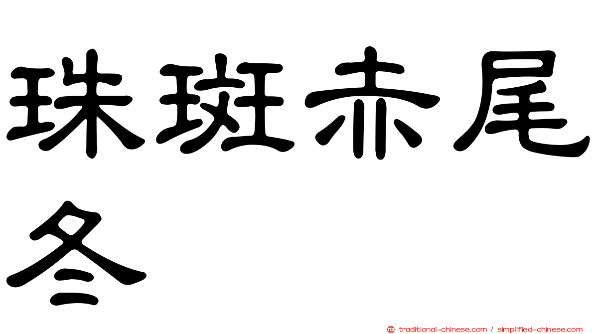 珠斑赤尾冬