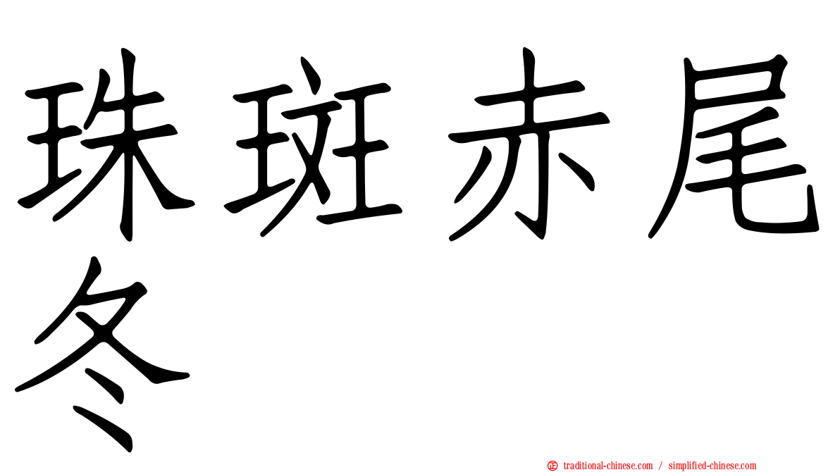 珠斑赤尾冬