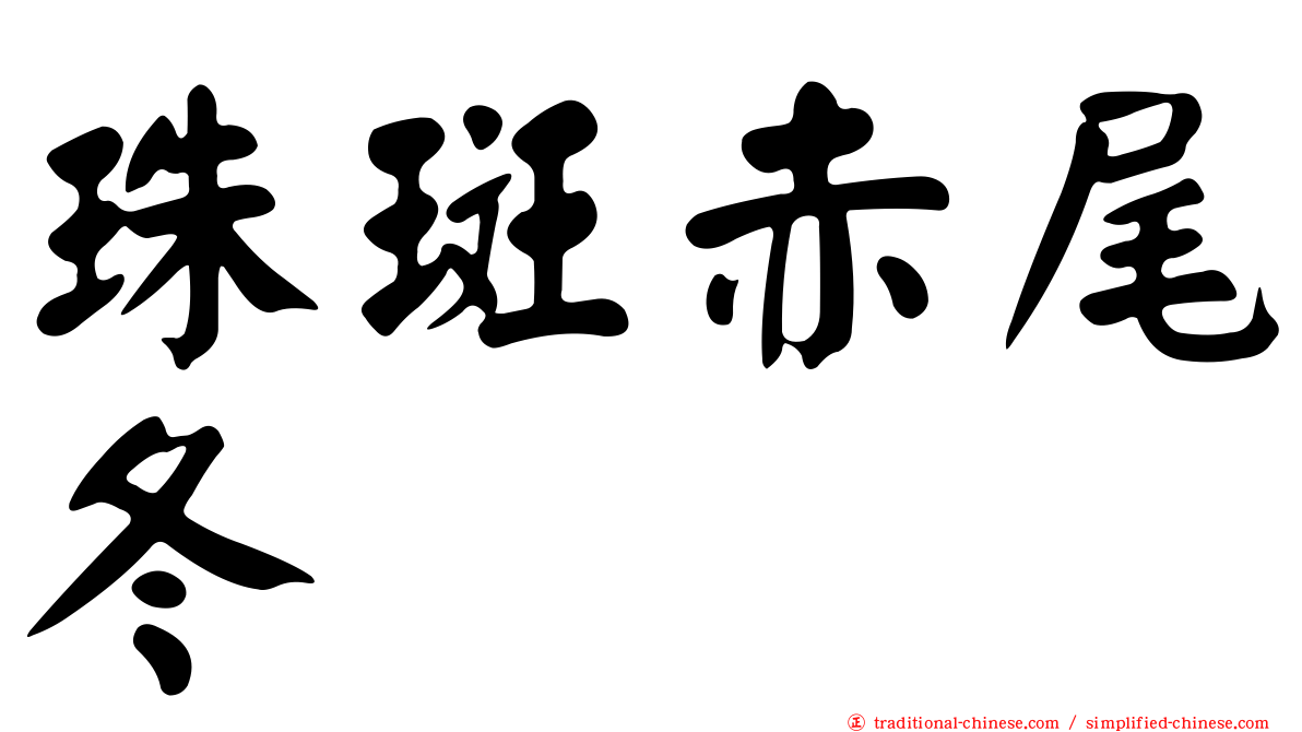 珠斑赤尾冬