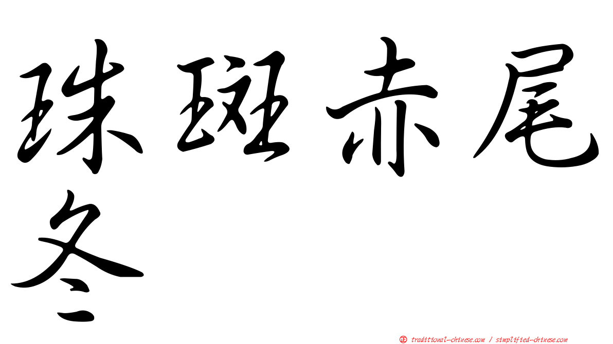 珠斑赤尾冬